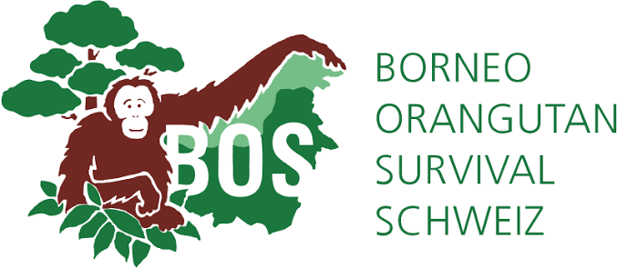 BOS Schweiz — Borneo Orangutan Survival